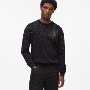 Rhinestone Degrad?? sweater